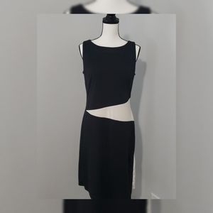 Express Sleeveless Colorblock dress